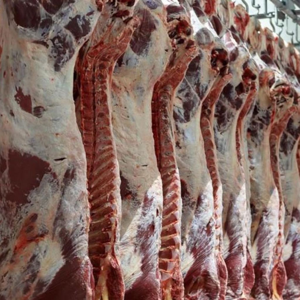 الزراعة توضح أسباب ارتفاع أسعار اللحوم وتتوقع انخفاضها بهذا الموعد