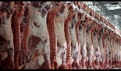 الزراعة توضح أسباب ارتفاع أسعار اللحوم وتتوقع انخفاضها بهذا الموعد
