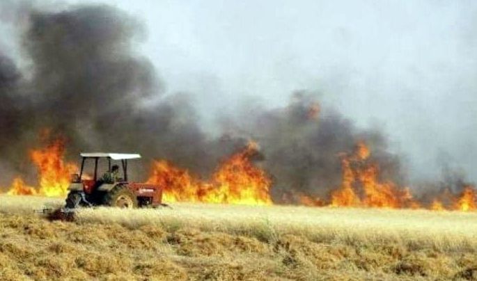 زراعة  نينوى تكشف ارقاماً مخيفة عن حجم الاراضي الزراعية المتضررة جراء الحرائق