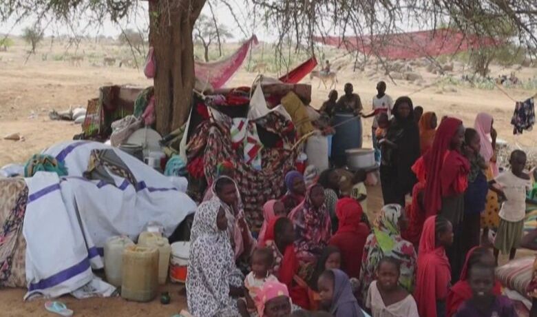 الأمم المتحدة: 19 مليون شخص في السودان قد يعانون من الجوع