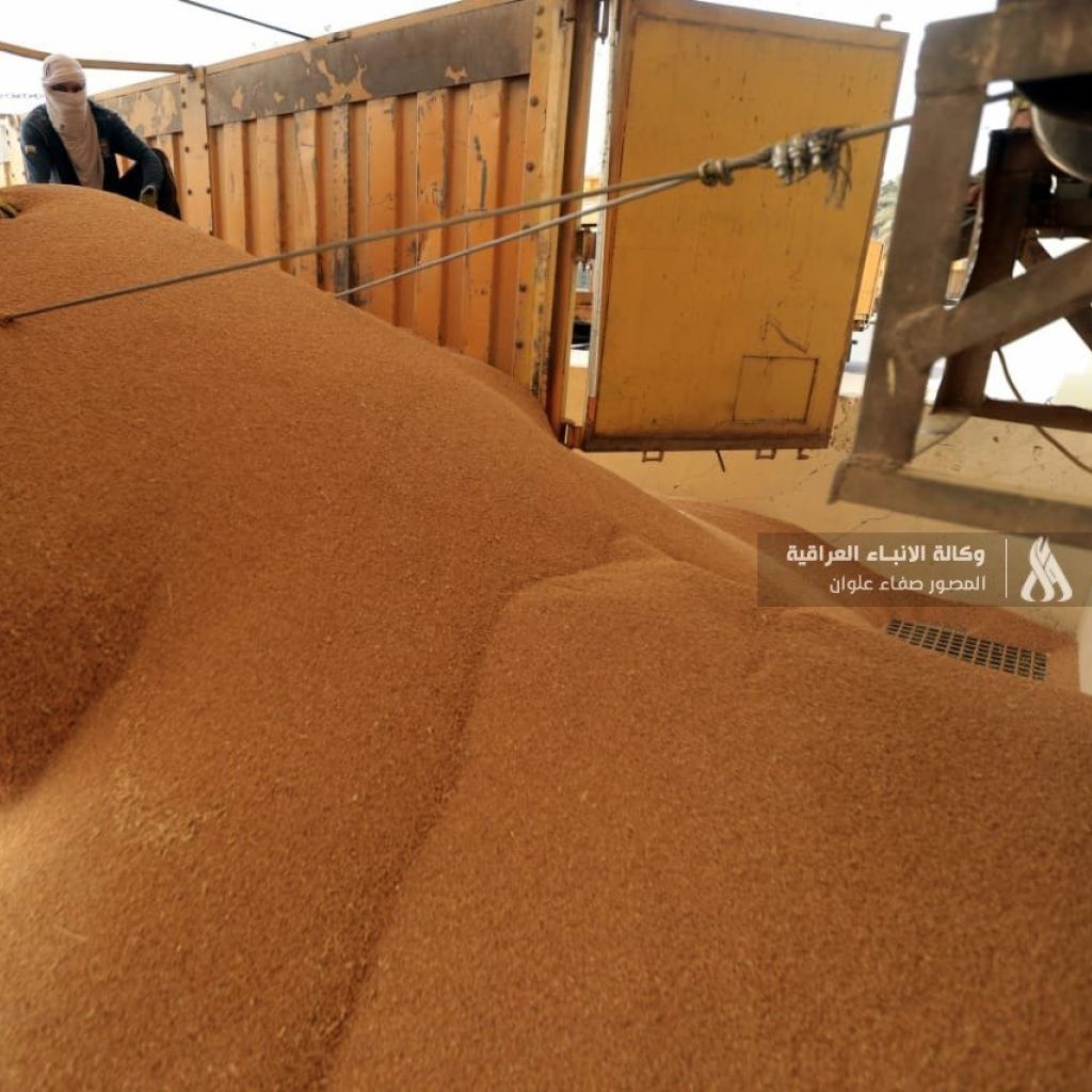 التجارة: كمية الحنطة للموسم الحالي يتوقع وصولها إلى نحو 8 ملايين طن