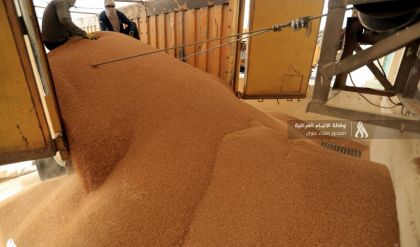 التجارة: كمية الحنطة للموسم الحالي يتوقع وصولها إلى نحو 8 ملايين طن