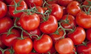  وزير الزراعة يؤكد سلامة محصول الطماطم من الأمراض والأوبئة