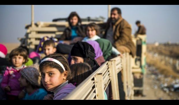 الهجرة تعلن عودة 114 نازحا من تركيا إلى العراق