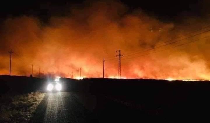  نينوى تطلب دعما من الحكومة المركزية والمنظمات الدولية لاخماد الحرائق 