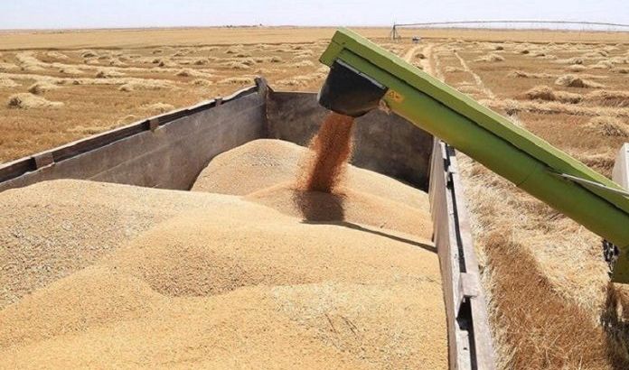 نينوى تسوق 750 الف طن من محصولي الحنطة والشعير