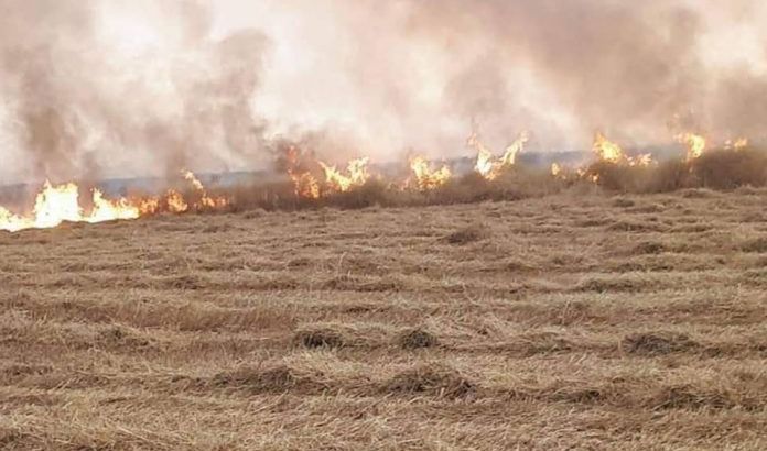 نينوى تعلن انتهاء أزمة الحرائق في حقول الحنطة والشعير