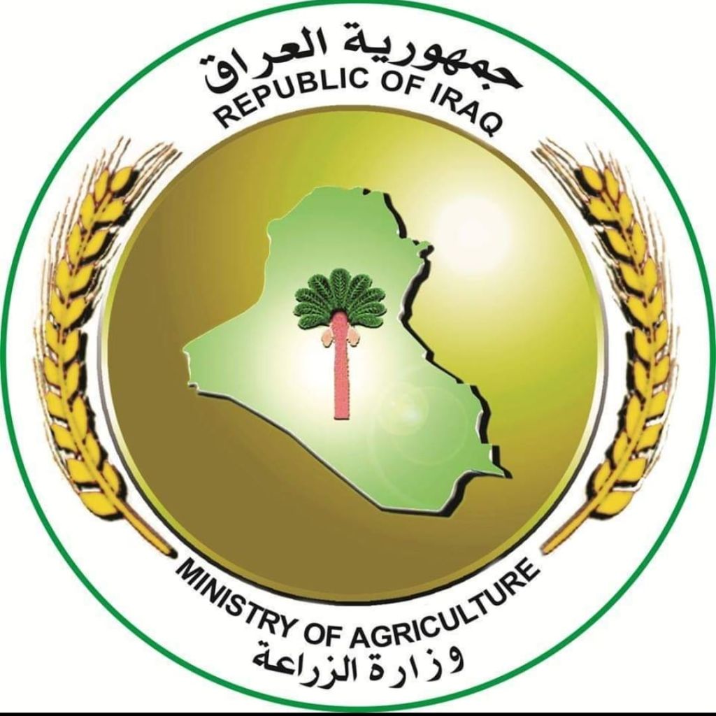 الزراعة: المحاصيل العراقية وصلت إلى أسواق الخليج والأردن وأوروبا