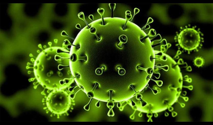  ارتفاع عدد ضحايا فيروس كورونا في الصين إلى 80 شخصا